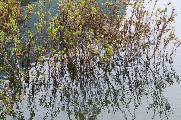 Nível Água Lago Kinneret Abaixo Normal — Fotografia de Stock