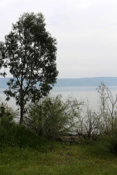 Niveau Eau Lac Kinneret Est Inférieur Normale — Photo