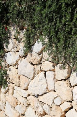 duvar, taş ve beton İsrail eski kale içinde 