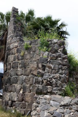 duvar, taş ve beton İsrail eski kale içinde 