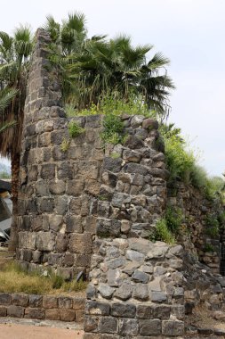 duvar, taş ve beton İsrail eski kale içinde 