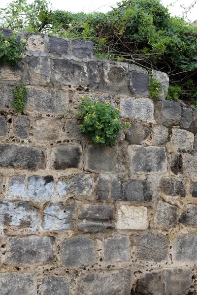 Duvar Taş Beton Srail Eski Kale Içinde — Stok fotoğraf