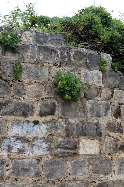 Mauer Aus Stein Und Beton Der Alten Festung Israel — Stockfoto