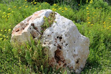 Kuzey İsrail'açık bir parkta taş yalan 