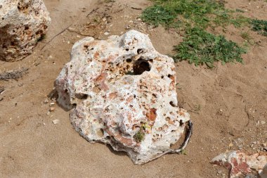 Kuzey İsrail'açık bir parkta taş yalan 