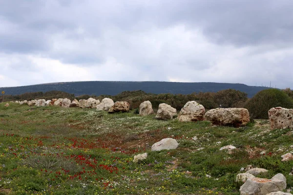 Stenen Liggen Een Open Park Noord Israël — Stockfoto