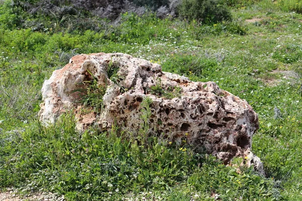 Камни Лежат Открытом Парке Севере Израиля — стоковое фото