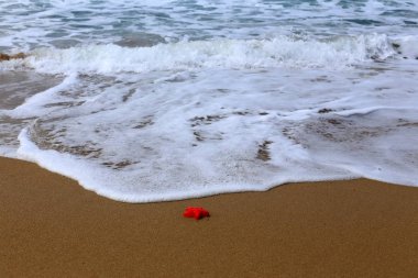 Akdeniz'de İsrail devletinin kuzey kıyısında 