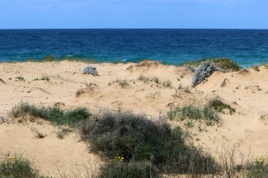 Akdeniz'de İsrail devletinin kuzey kıyısında 