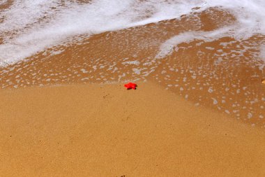 Akdeniz'de İsrail devletinin kuzey kıyısında 