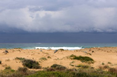 Akdeniz'de İsrail devletinin kuzey kıyısında 