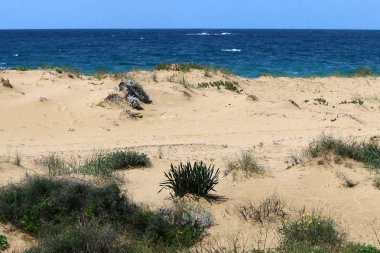 Akdeniz'de İsrail devletinin kuzey kıyısında 