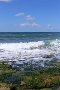 Akdeniz'de İsrail devletinin kuzey kıyısında 