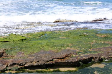 Akdeniz'de İsrail devletinin kuzey kıyısında 