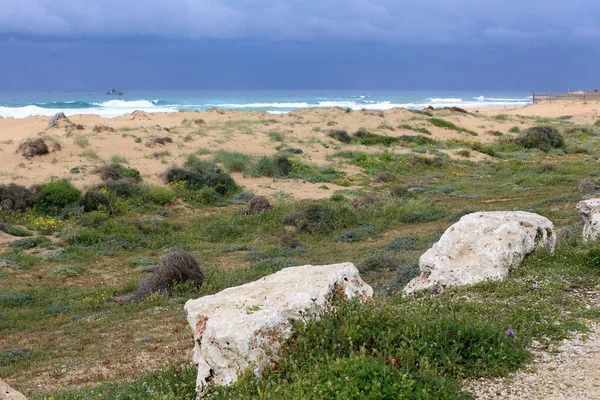 Costa Mar Mediterrâneo Norte Estado Israel — Fotografia de Stock