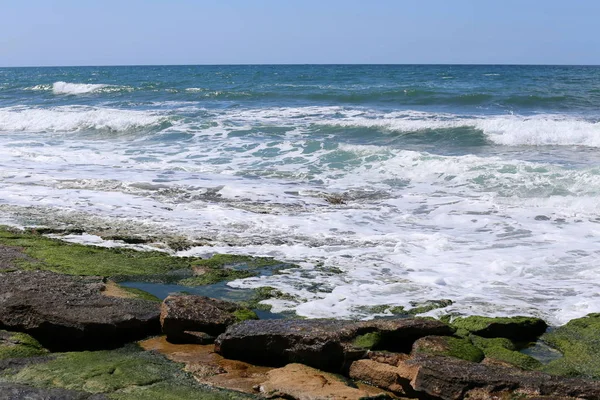 Costa Del Mar Mediterraneo Nel Nord Dello Stato Israele — Foto Stock