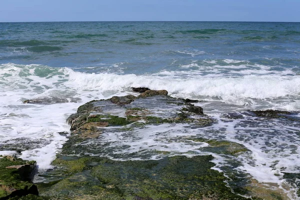 Akdeniz'de İsrail devletinin kuzey kıyısında 