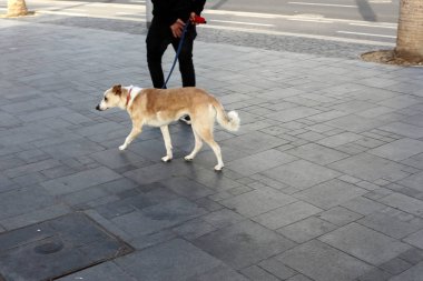 Kaldırım sokak şehir iki tarafında bulunan bir yaya geçit olduğunu. 