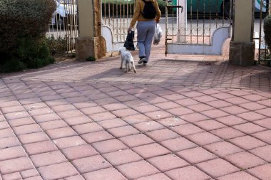 Kaldırım sokak şehir iki tarafında bulunan bir yaya geçit olduğunu. 