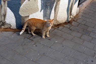 Kaldırım sokak şehir iki tarafında bulunan bir yaya geçit olduğunu. 