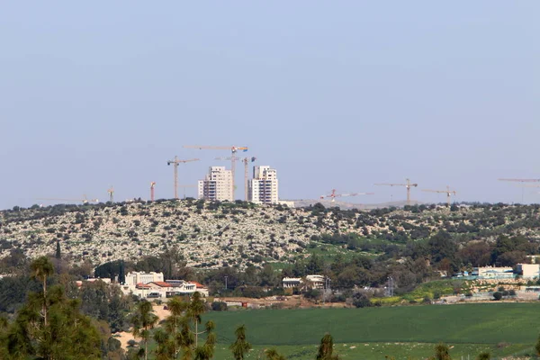 Fotografías Naturaleza Flores Primavera Cerca Norte Israel — Foto de Stock