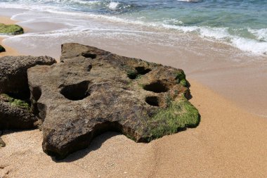 Israil 'in kuzeyinde Akdeniz kıyısında taşlar 
