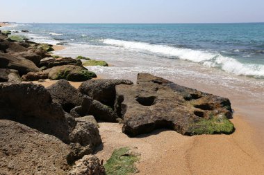 Israil 'in kuzeyinde Akdeniz kıyısında taşlar 