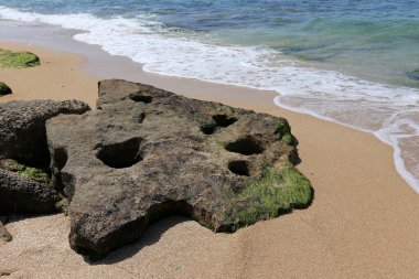 Israil 'in kuzeyinde Akdeniz kıyısında taşlar 