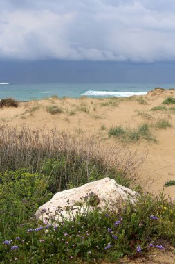 Israil 'in kuzeyinde Akdeniz kıyısında taşlar 