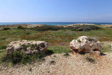 Israil 'in kuzeyinde Akdeniz kıyısında taşlar 