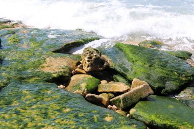 Israil 'in kuzeyinde Akdeniz kıyısında taşlar 