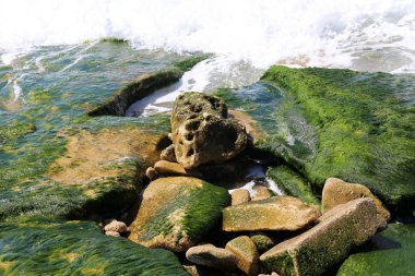 Israil 'in kuzeyinde Akdeniz kıyısında taşlar 