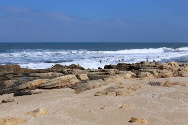 Israil 'in kuzeyinde Akdeniz kıyısında taşlar 