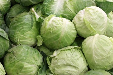 üstünde belgili tanımlık sayaç depodaki taze sebze ve meyveler vardır 