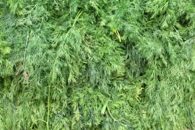 üstünde belgili tanımlık sayaç depodaki taze sebze ve meyveler vardır 