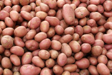 üstünde belgili tanımlık sayaç depodaki taze sebze ve meyveler vardır 