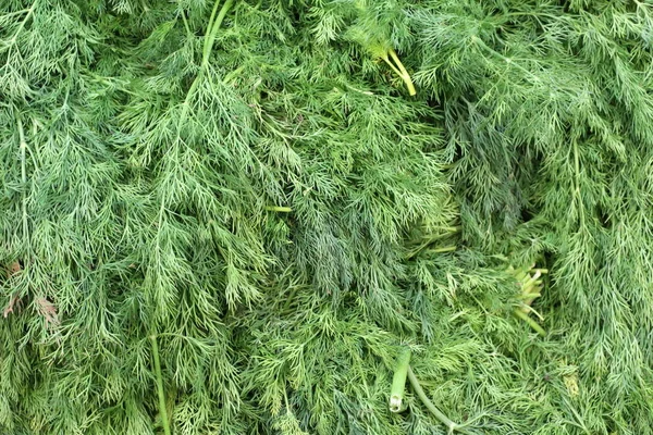 üstünde belgili tanımlık sayaç depodaki taze sebze ve meyveler vardır 