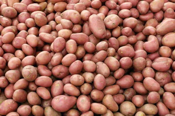 üstünde belgili tanımlık sayaç depodaki taze sebze ve meyveler vardır 