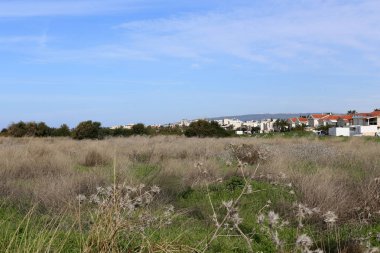 Israil 'de Akdeniz kıyılarında küçük bir kasabada peyzaj 