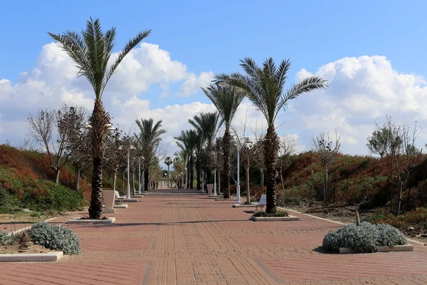 Landskap Liten Stad Stranden Medelhavet Israel — Stockfoto