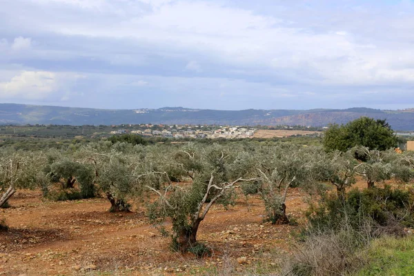 Τοπίο Μια Μικρή Πόλη Στις Ακτές Της Μεσογείου Στο Ισραήλ — Φωτογραφία Αρχείου