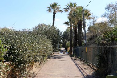 Israil 'de Akdeniz kıyılarında küçük bir kasabada peyzaj 