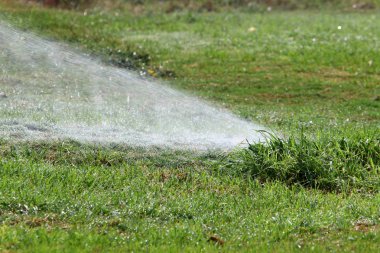 Şehir parkındaki çeşme 