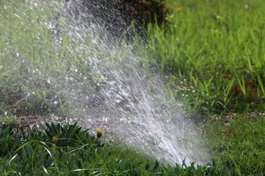 Şehir parkındaki çeşme 