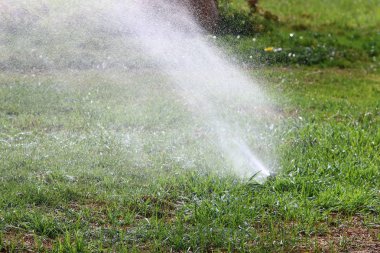 Şehir parkındaki çeşme 