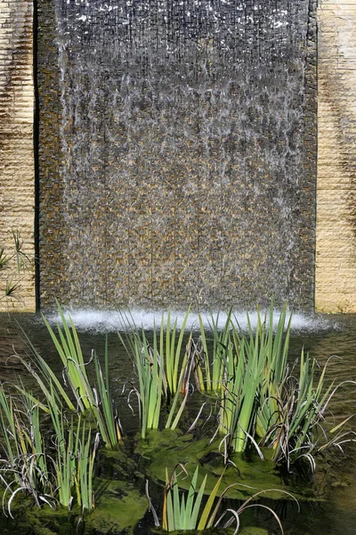 Fontaine Dans Parc Municipal — Photo