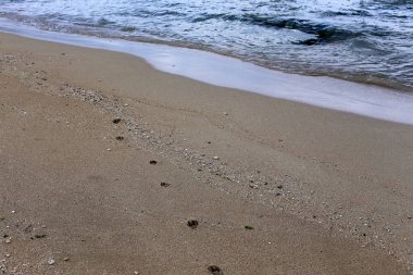 Kumdaki Akdeniz kıyısında 