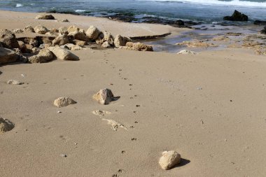 Kumdaki Akdeniz kıyısında 