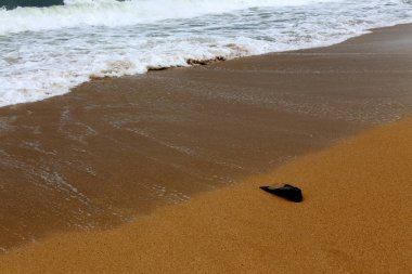 Kumdaki Akdeniz kıyısında 