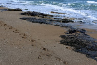 Kumdaki Akdeniz kıyısında 